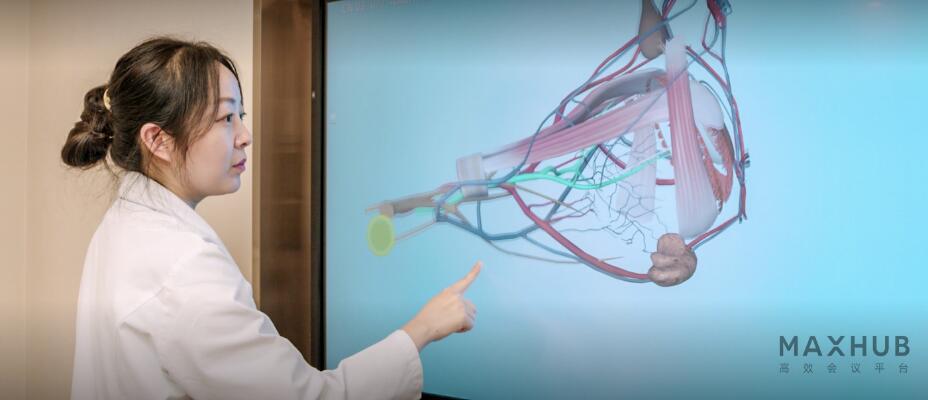 maxhub,maxhub�����������ϿƼ�